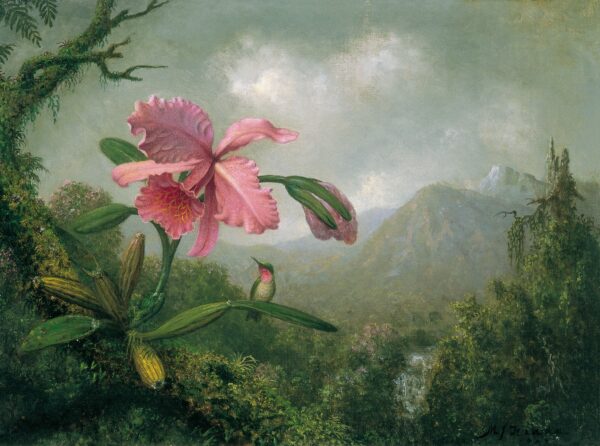 Orchidee und Kolibri in der Nähe eines Bergwasserfalls – Martin Johnson Heade Martin Johnson Heade 2024-11-21