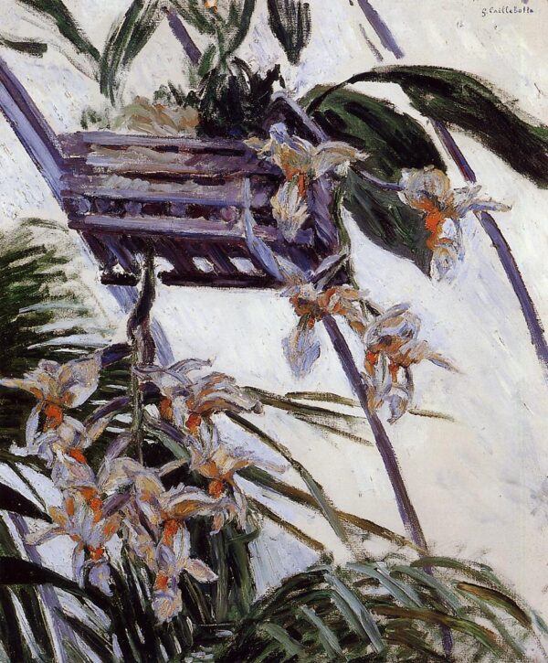 Orchideen – Caillebotte Gustave Caillebotte 2024-11-21