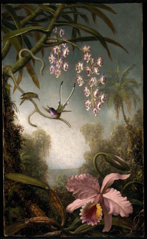 Orchideen und Orchideenspray mit Kolibri – Martin Johnson Heade Martin Johnson Heade 2024-11-21