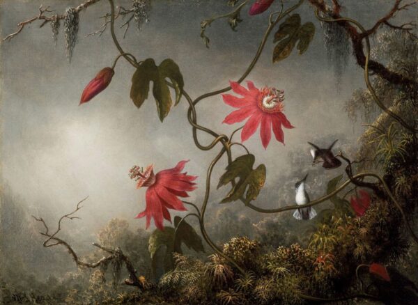 Die Blumen der Leidenschaft mit Kolibris – Martin Johnson Heade Martin Johnson Heade 2024-11-21