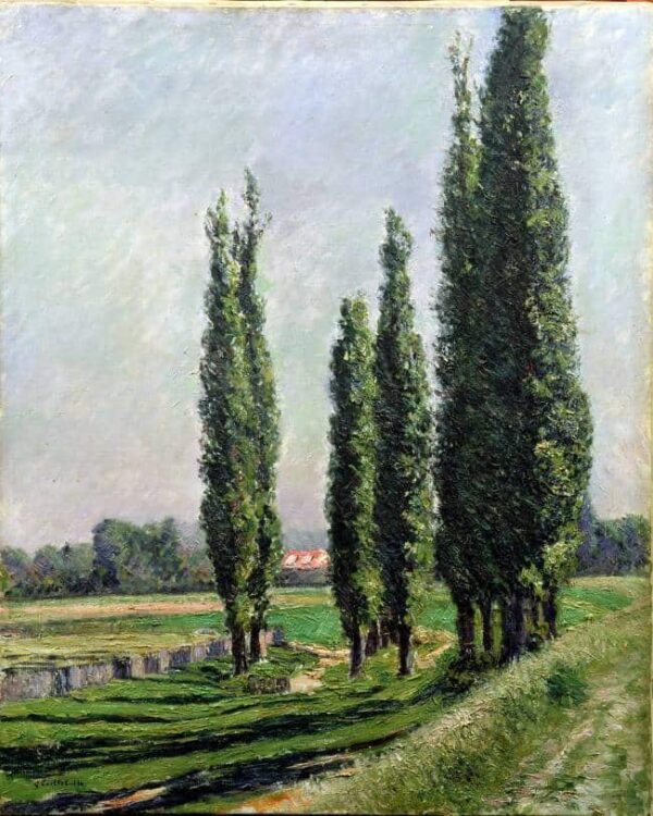 Pappeln am Flussufer in Argenteuil – Caillebotte Gustave Caillebotte 2024-11-21