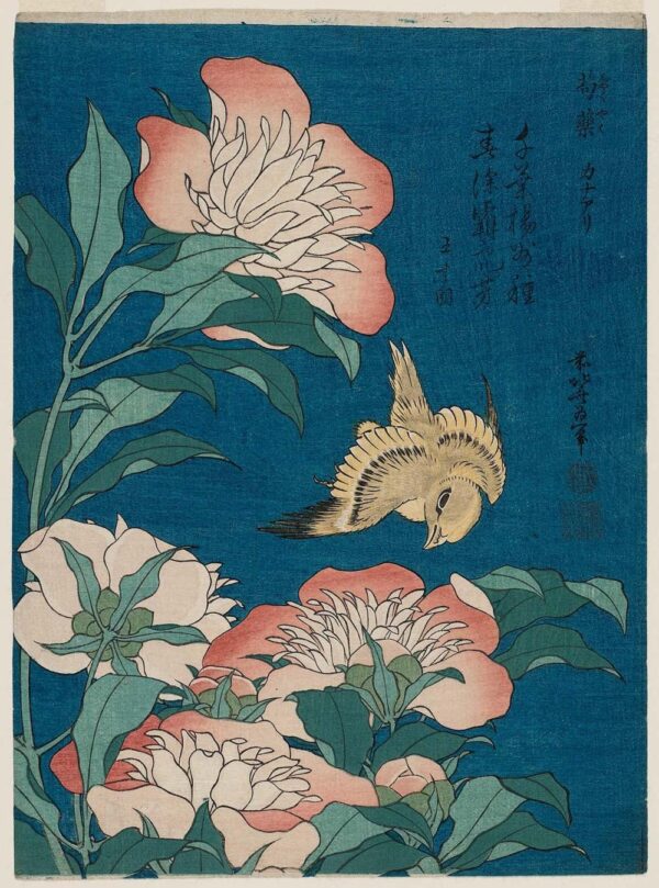 Hokusai Pfingstrosen und Kanarienvogel (Shakuyaku, Kanaari), aus einer unbetitelten Serie bekannt als kleine Blumen – Katsushika Hokusai Katsushika Hokusai 2024-11-13