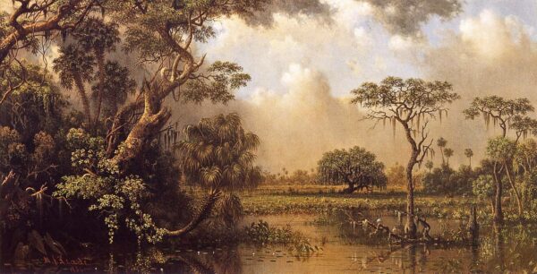 Der große Sumpf von Florida – Martin Johnson Heade Martin Johnson Heade 2024-11-21