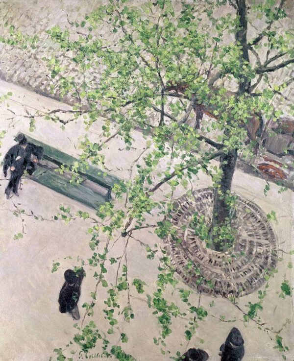 Gustave Caillebotte Boulevard von oben gesehen – Caillebotte Gustave Caillebotte 2024-11-21