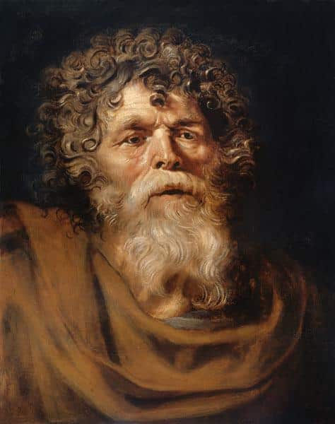 Kopf eines alten Mannes – Peter Paul Rubens Peter Paul Rubens 2024-11-21