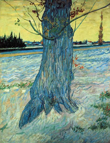 Der Baum – Van Gogh Vincent Van Gogh 2024-11-20