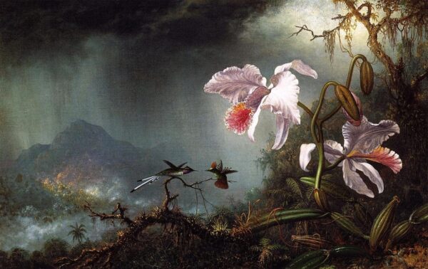 Zwei Kolibris im Kampf mit zwei Orchideen – Martin Johnson Heade Martin Johnson Heade 2024-11-21