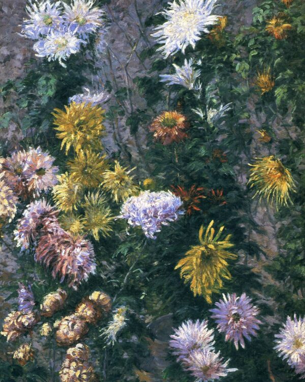 Weiße und gelbe Chrysanthemen – Caillebotte Gustave Caillebotte 2024-11-21